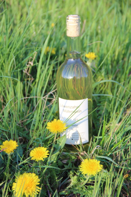 Löwenzahnblütenwein – Bild 2